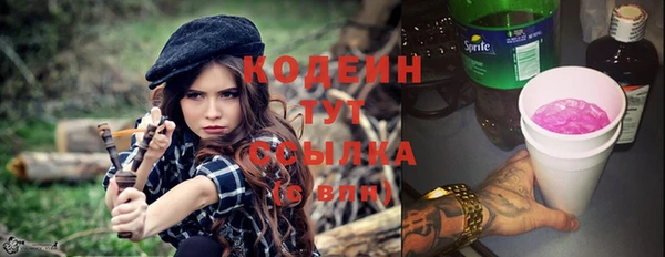 крисы Верхний Тагил